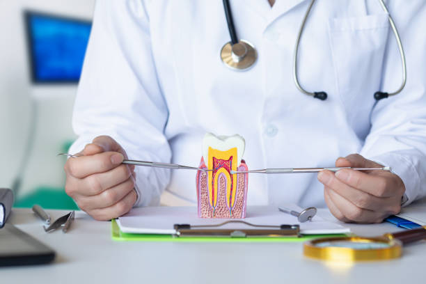 Best Emergency Broken Tooth Repair in Biltmore, TN